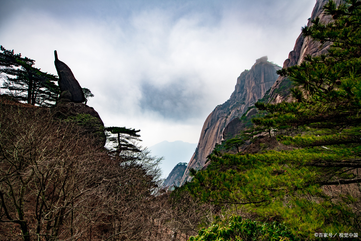 合肥报团旅游攻略最新报价,合肥跟旅游团到黄山多少钱