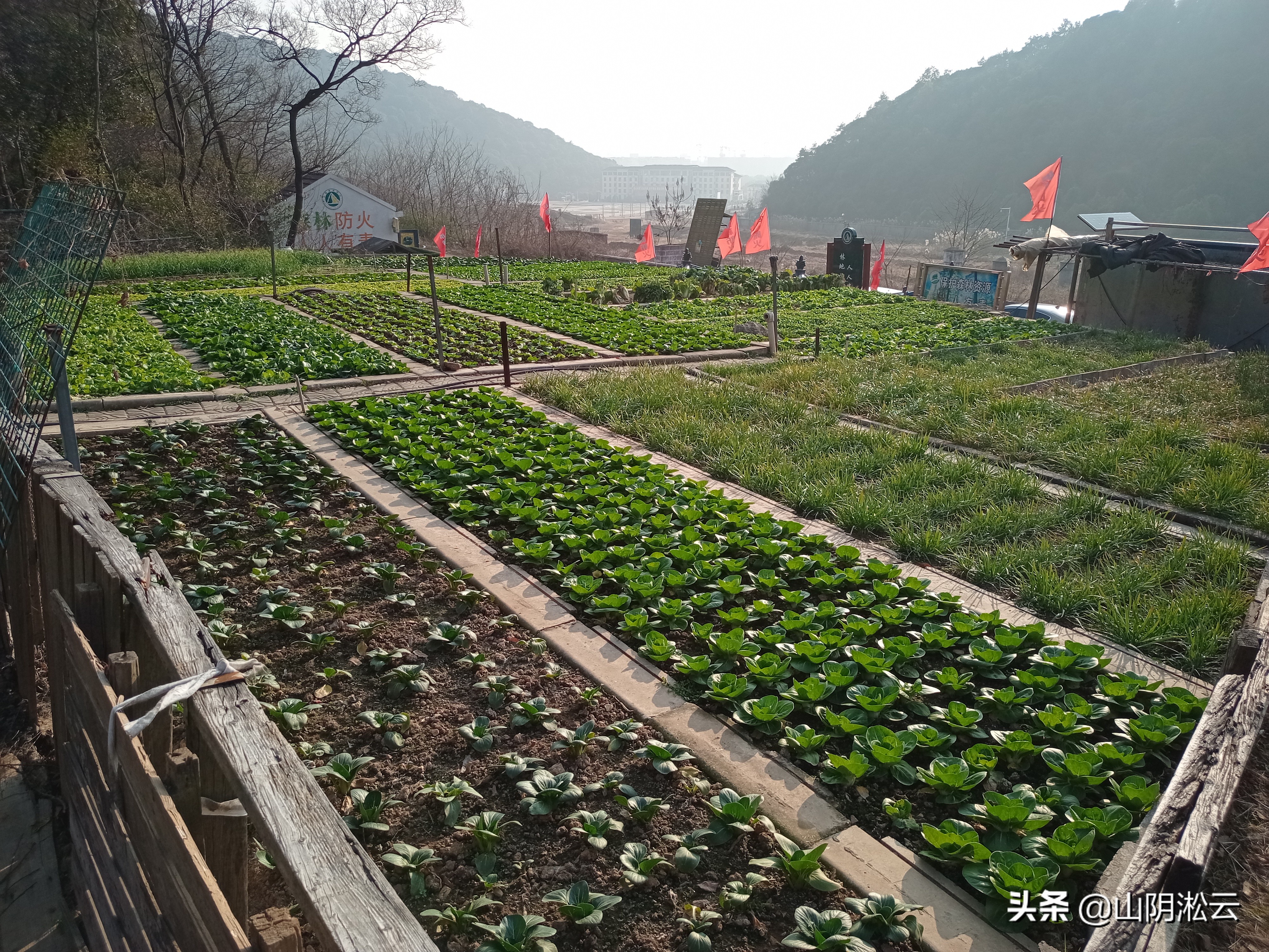 无锡往事之锡城回忆录推荐,无锡锡城记忆