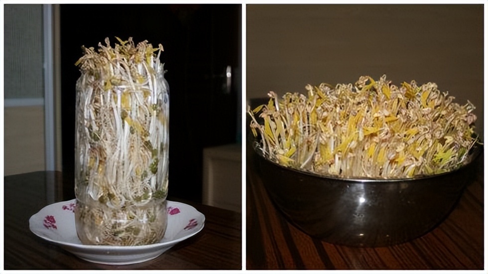 易经4-5全解,易经讲解2024