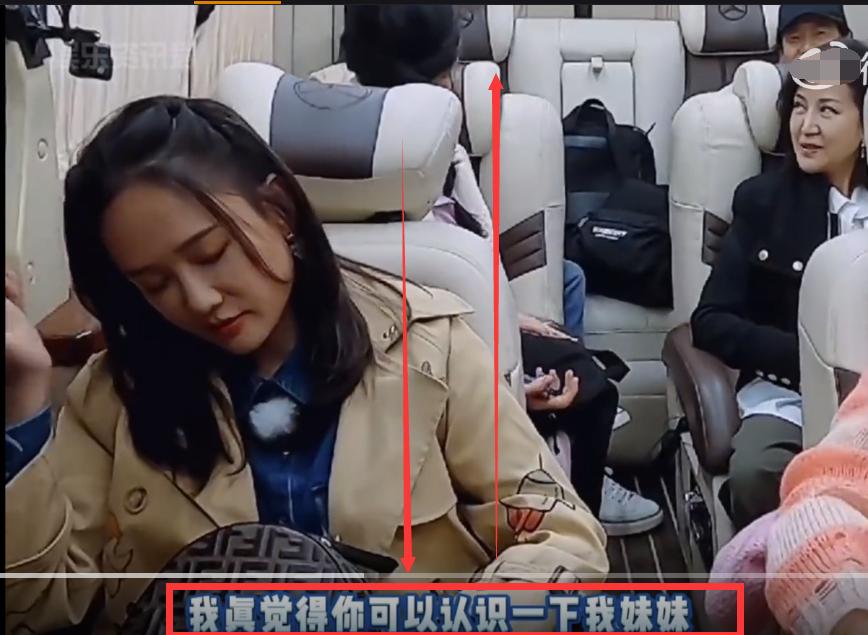 郑钧评价苗苗扮猪吃老虎,苗苗评价郑钧刘芸