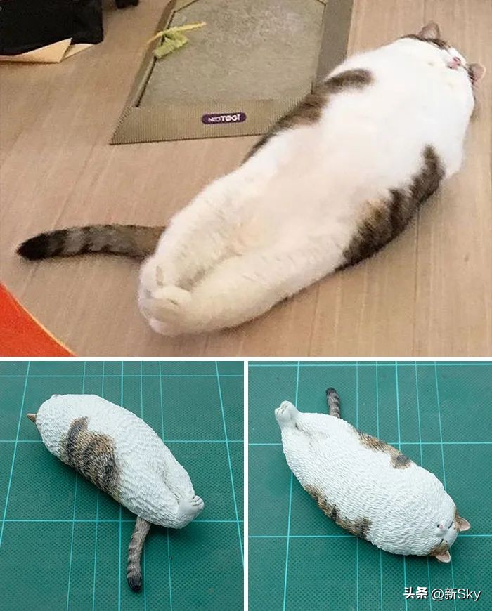 哈哈哈，这个神经手办又双叒更新了，笑惨我了