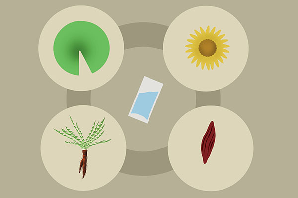 蒲公英茶泡水喝能抗癌吗,常喝蒲公英泡水喝能预防癌症吗