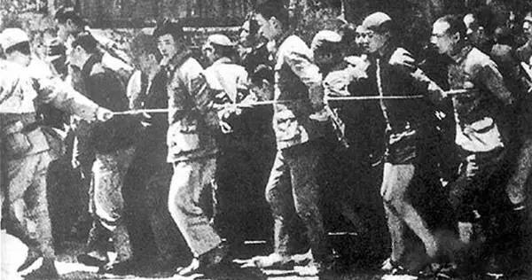 日本山洞发现野人,日本深山发现一个人隐居山洞