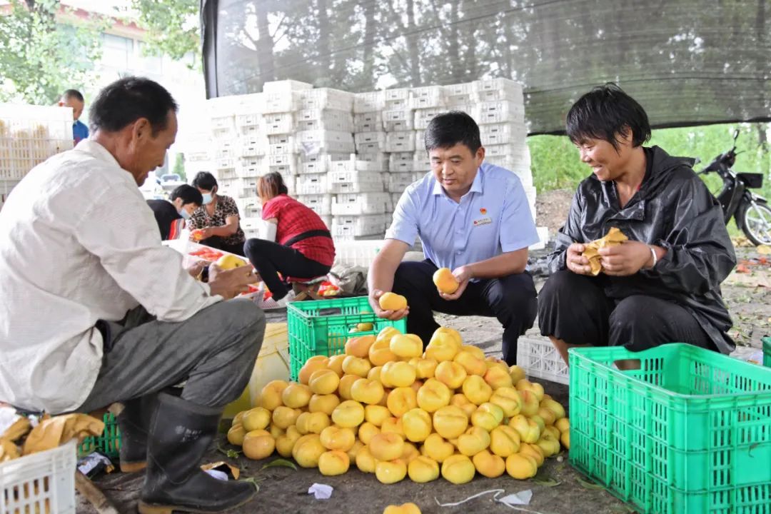 好品山东乡村名品,好品山东蒙阴蜜桃