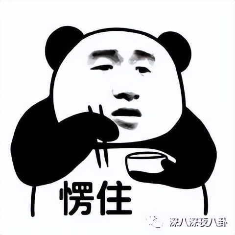 王子腾人物评价,王子腾是男的还是女的