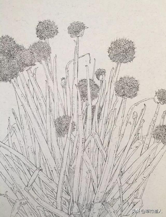 绘画艺术形象及其审美意义,中国绘画的审美特点4字