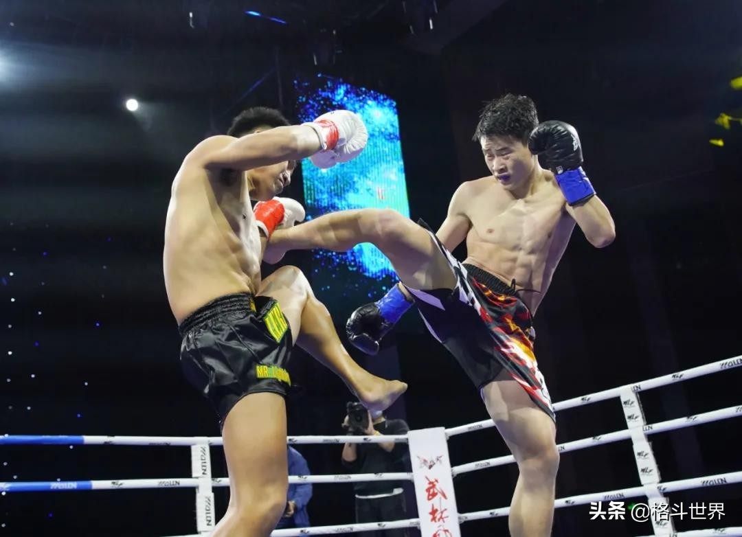 中国搏击排名前十,中国搏击排名前十方便