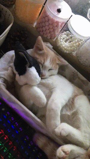 兵马俑制作过程简单用粘土,兵马俑制作过程电视剧