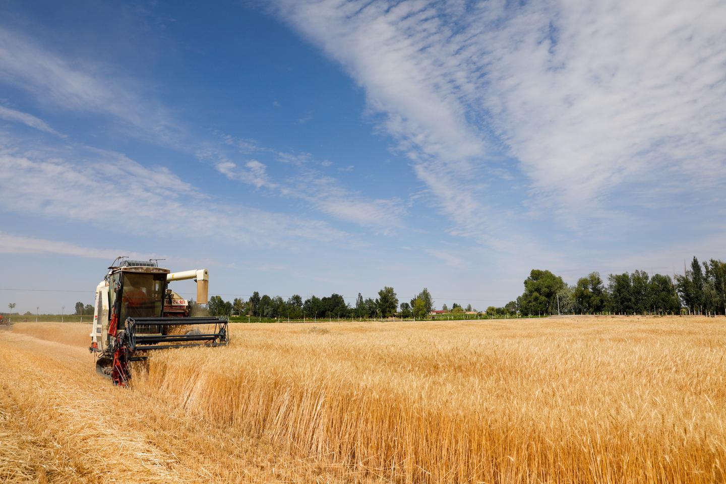 奋进新时代谱写新篇章感悟,古浪乡村振兴政策解读