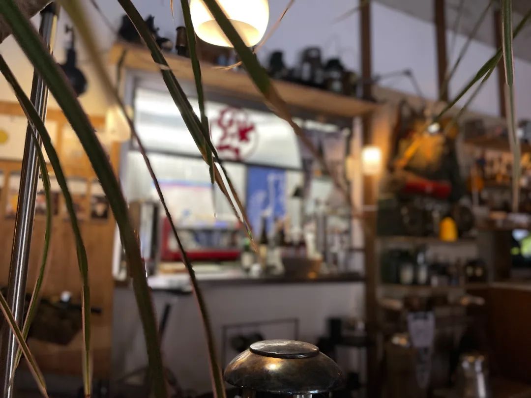 第057杯|喝的就是西北风