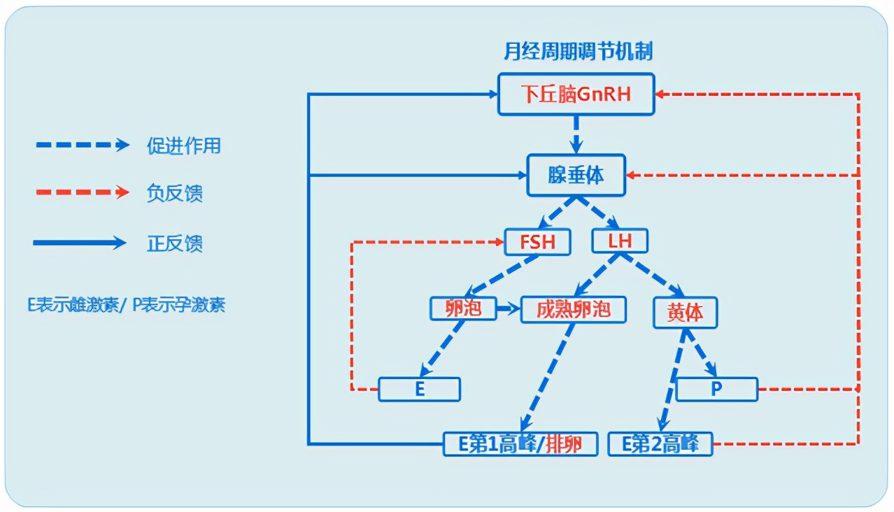 怕ta不来，又怕ta乱来！女生关于月经那点事儿