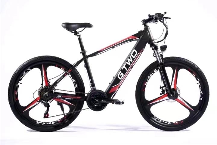 助力电动车真的可以跑200公里吗,2款续航不低的四轮电动车推荐