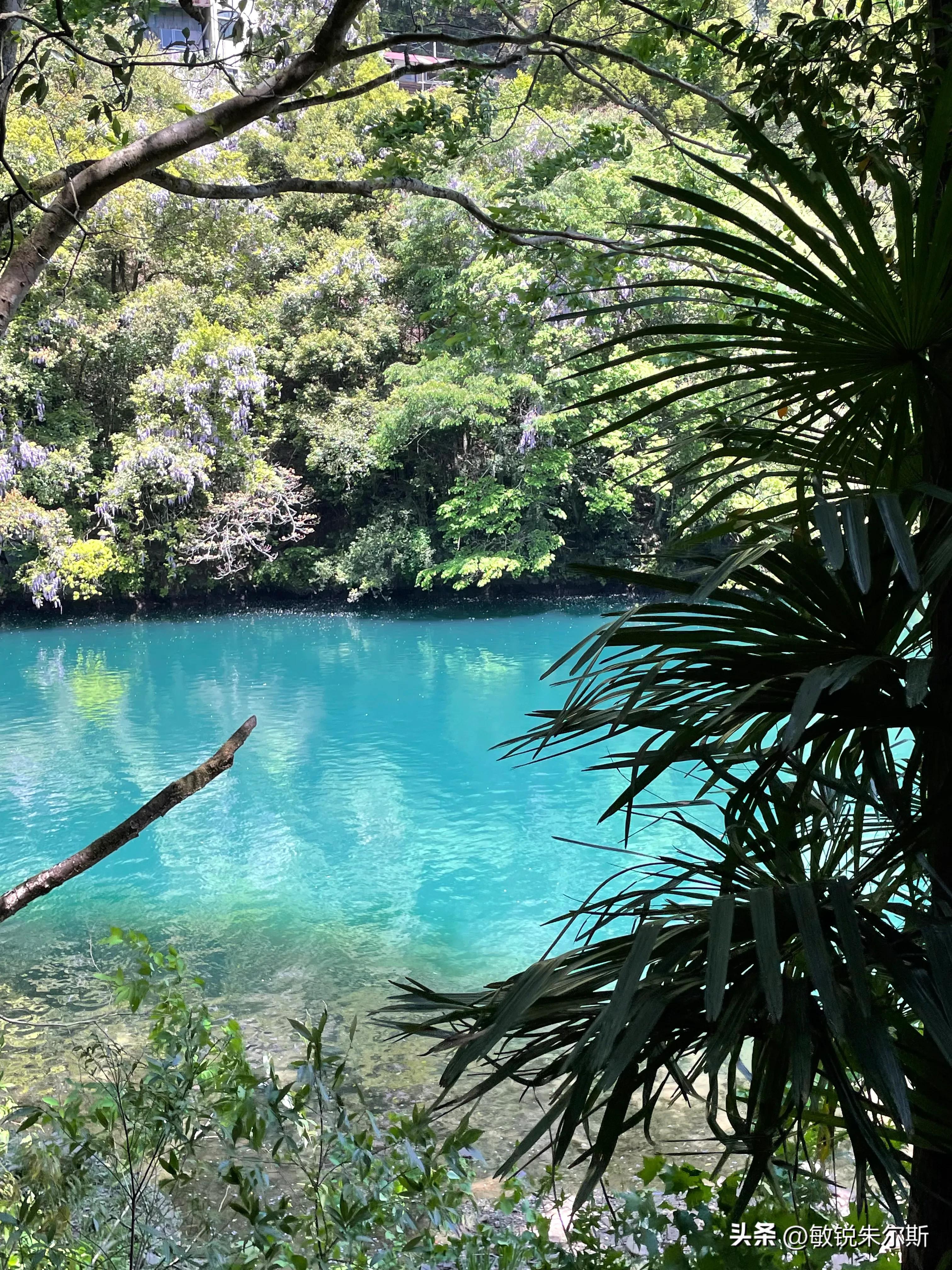 一个人记录生活在日本,记录一家人在日本日常