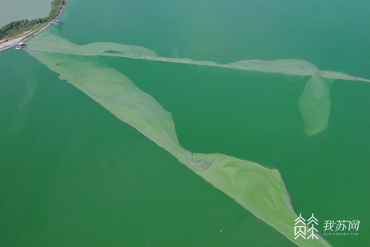 「十年弄潮江海声·夺冠」蓝藻治理的定湖神器