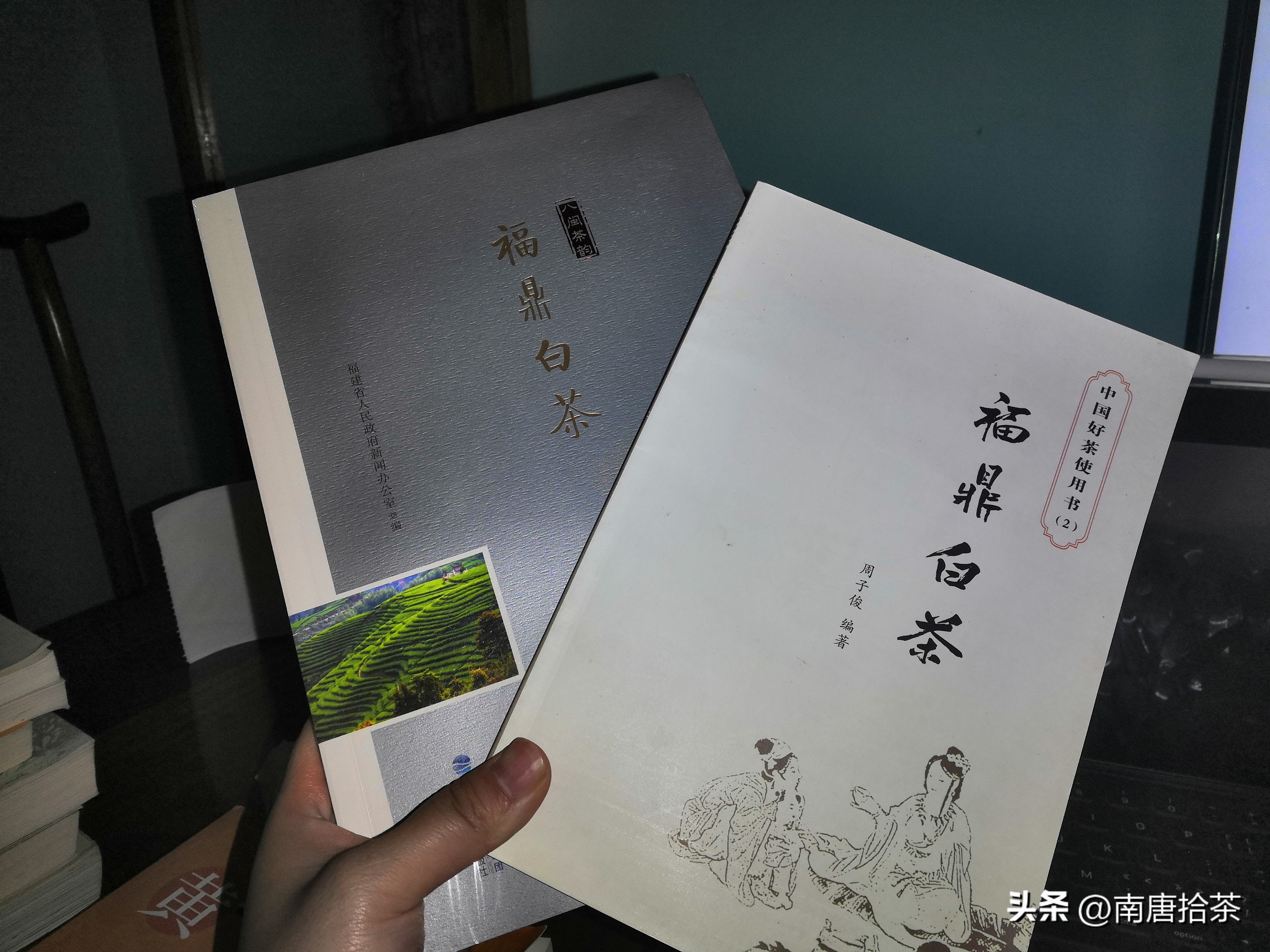 适合新手的茶书有哪些,茶小白入门看什么书