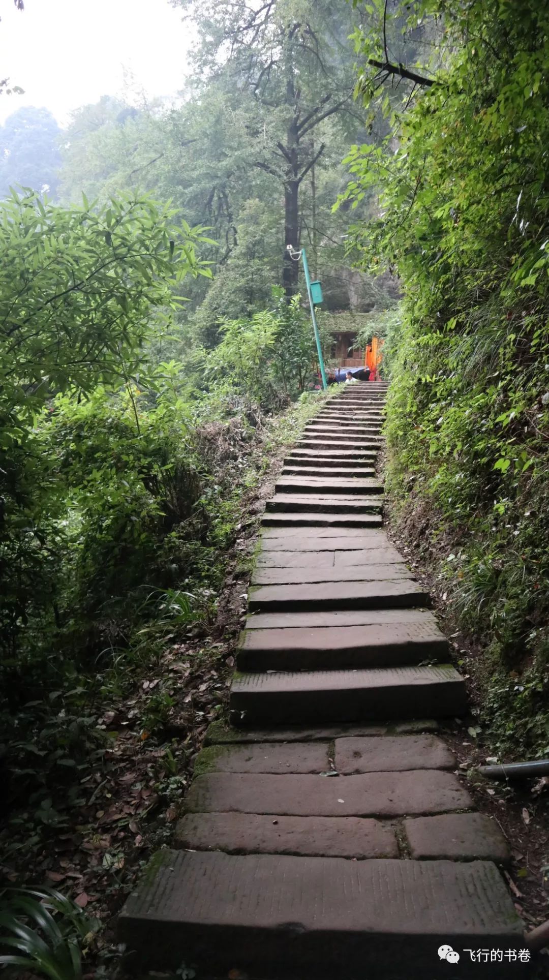 道教四大仙山你爬过几座,青城山为什么被称作道教第一山