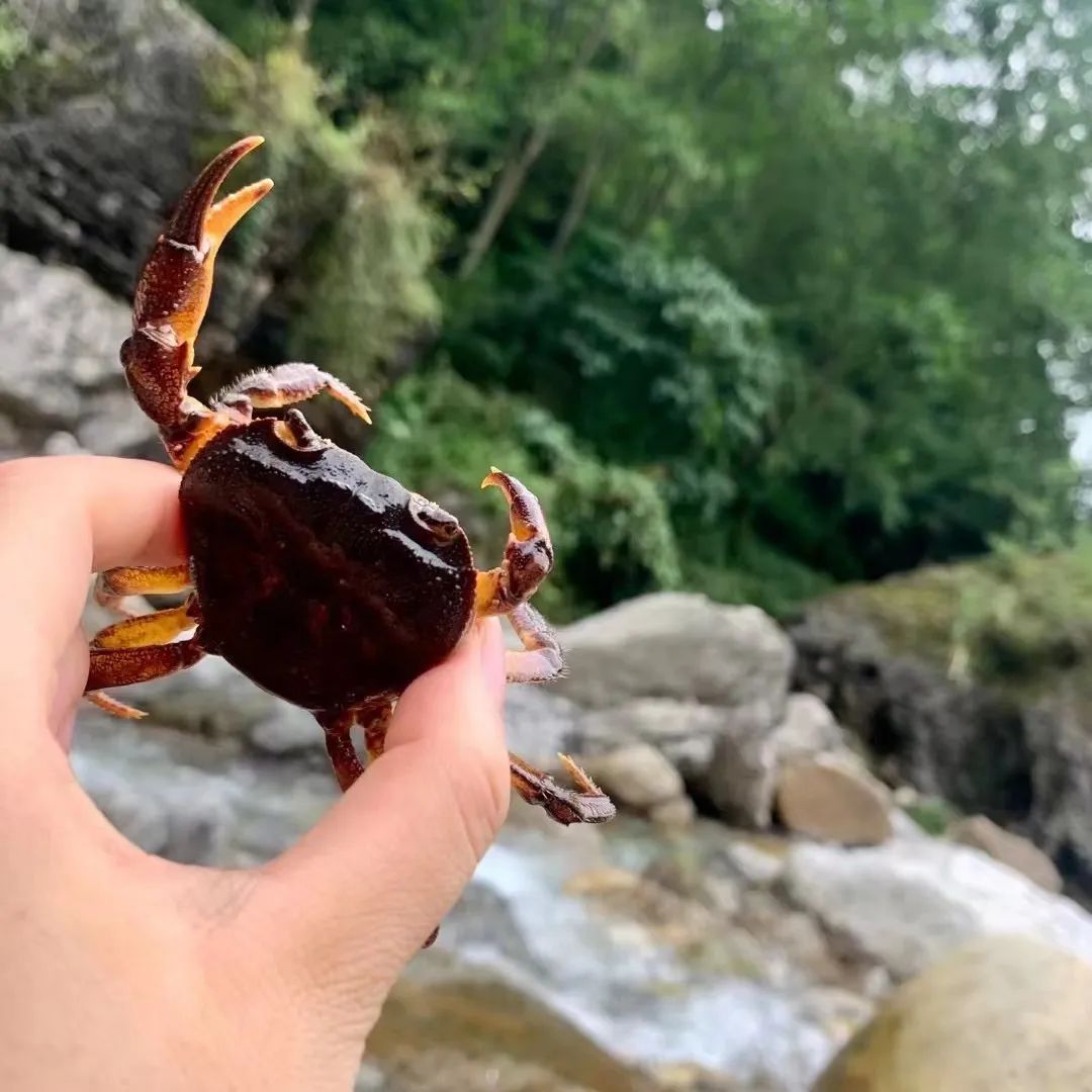 江油哪里看月亮好,江油夜晚风景