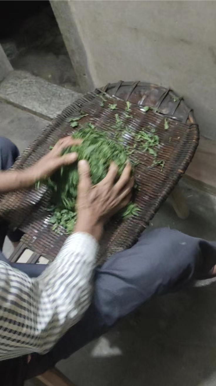 制茶过程全解,手工制茶全过程手把手教你