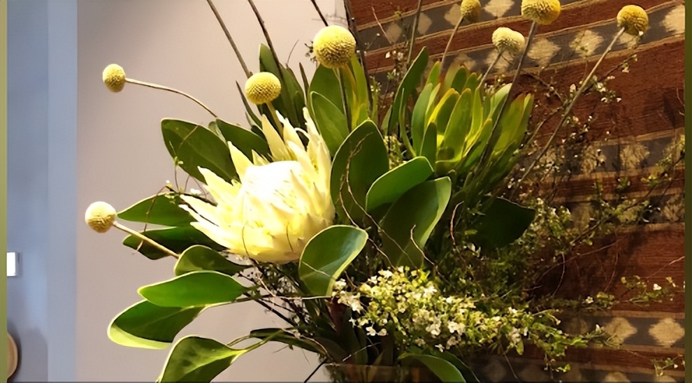 蔡依林戴奢侈品珠宝,蔡依林戴珠宝