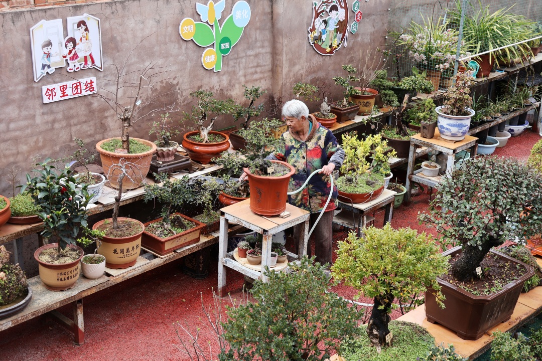 麒麟区文明游园 (曲靖麒麟区文明游园)