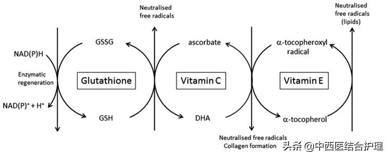 医生谈维生素e加凡士林美白,维生素e软胶囊能抹脸能抗衰老吗