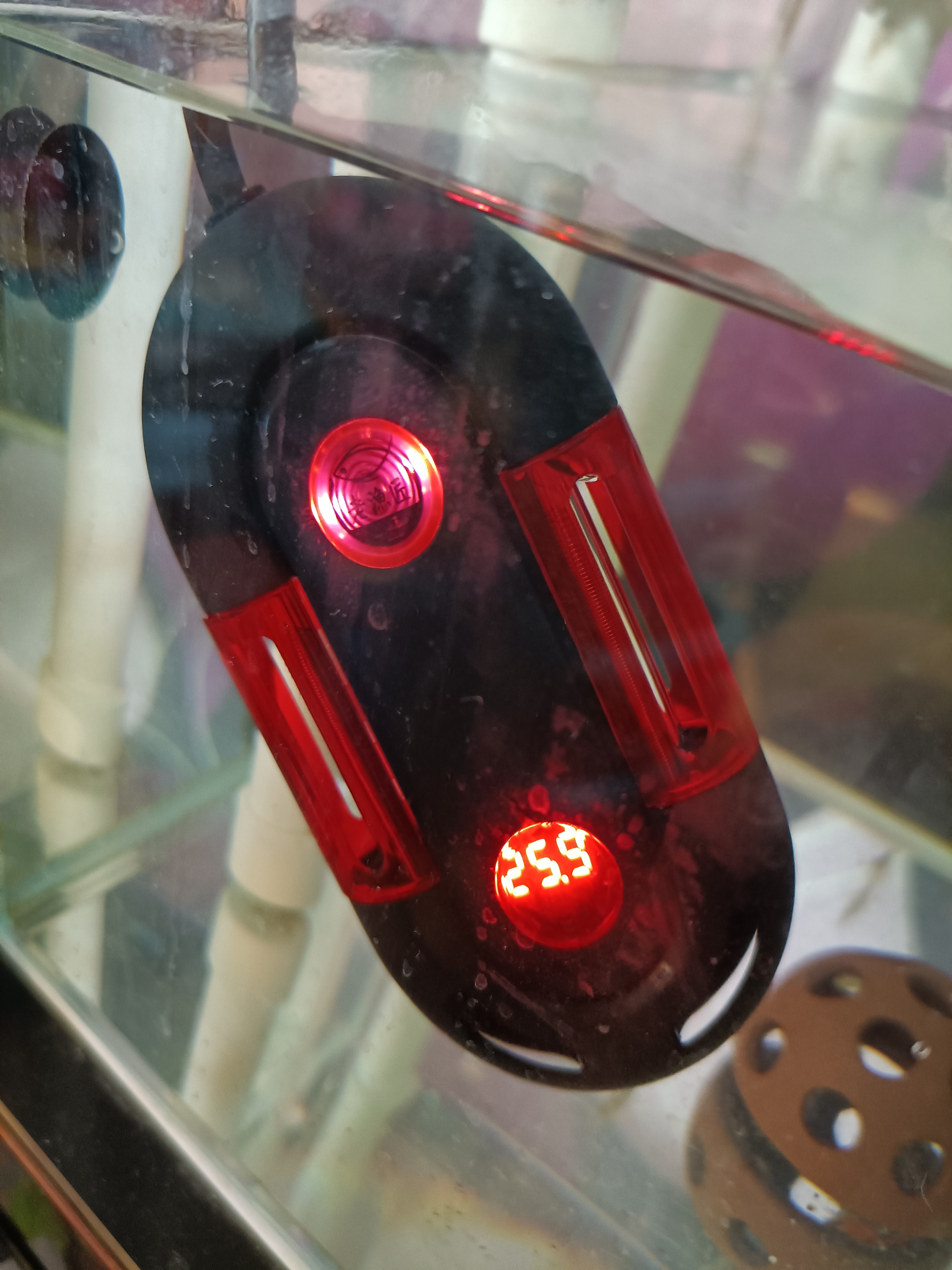 龟周边用品,圆形大陶瓷缸养龟用品