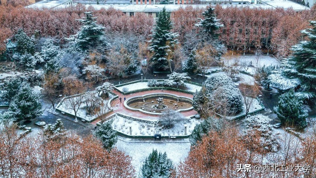 今日雨水!工大四季高清美图，欢迎欣赏使用~