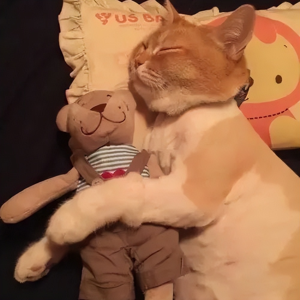 脸上到处是痘痘痘印痘坑怎么办,痘痘破了怎么处理不会留痘印痘坑