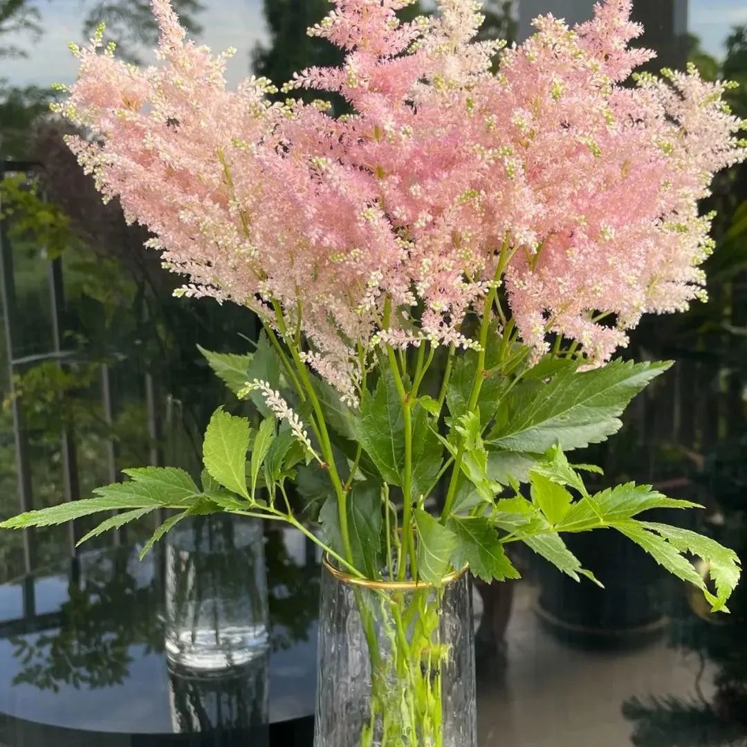 鲜花在水里能养几天会死,新加坡盆栽花卉怎么养