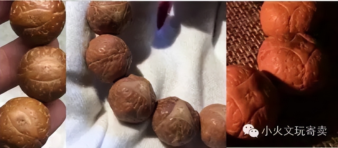 凤眼菩提20天效果,2023年凤眼菩提