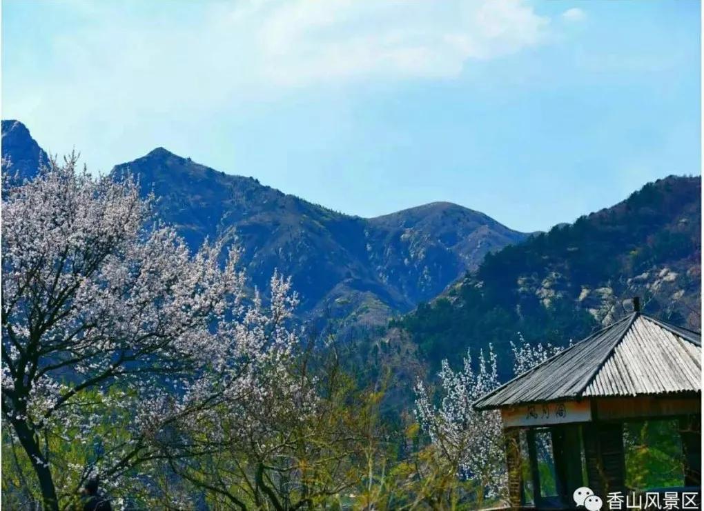 俺莱芜有美景|四季予你诗画香山