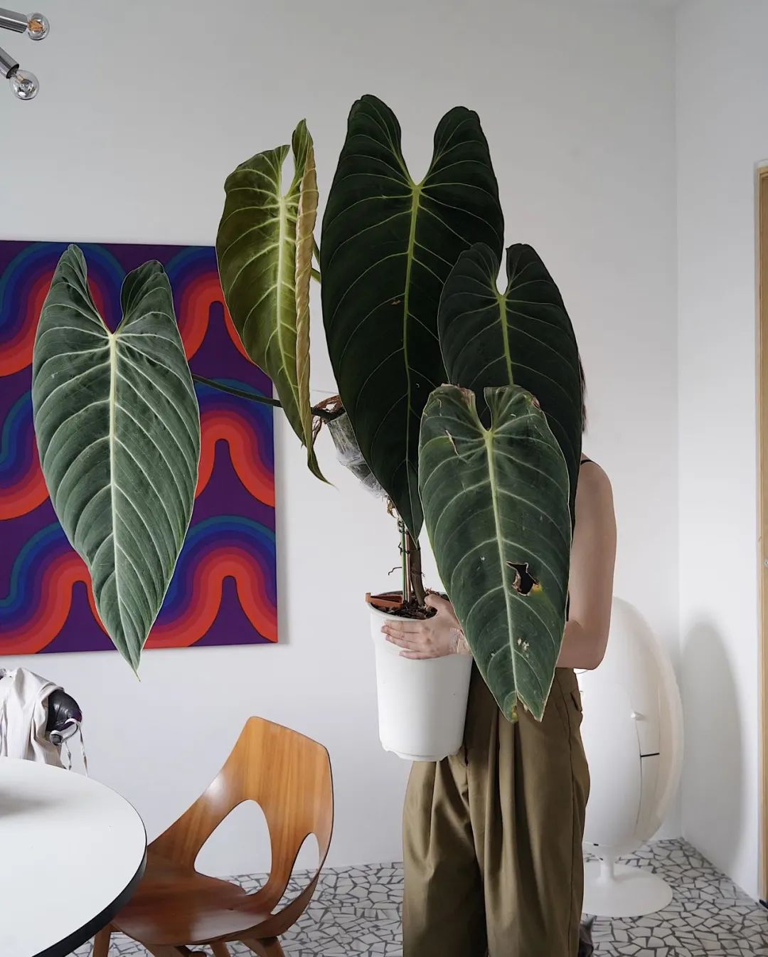 设计师都要设计一把椅子吗,设计师眼中的椅子