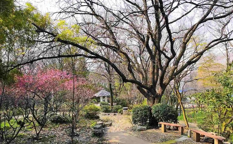 南京免费景点排行榜前十名,南京旅游年卡免费景点一览表