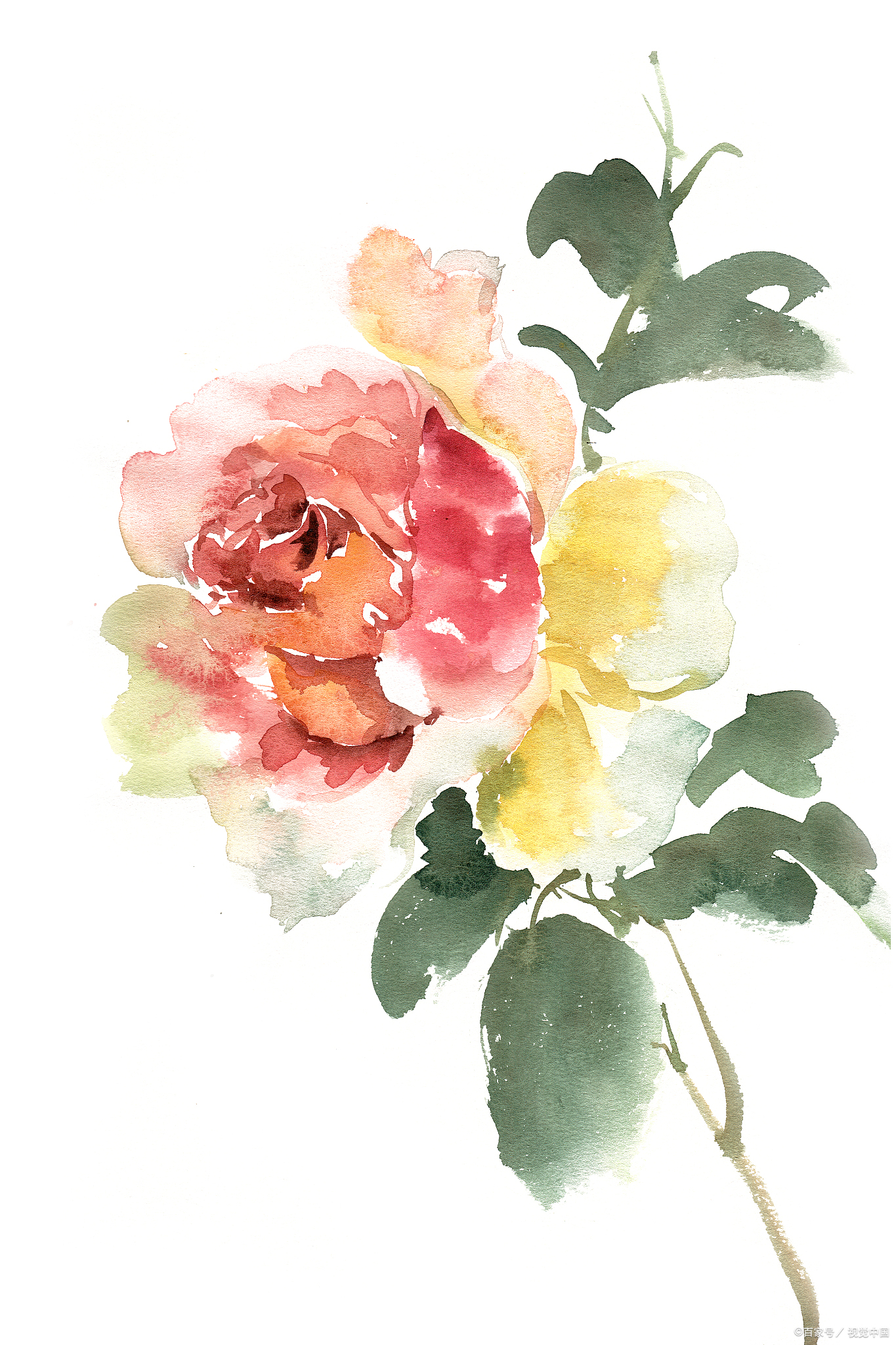 春天赏花,怎么发朋友圈才有格调,64首诗词来助力