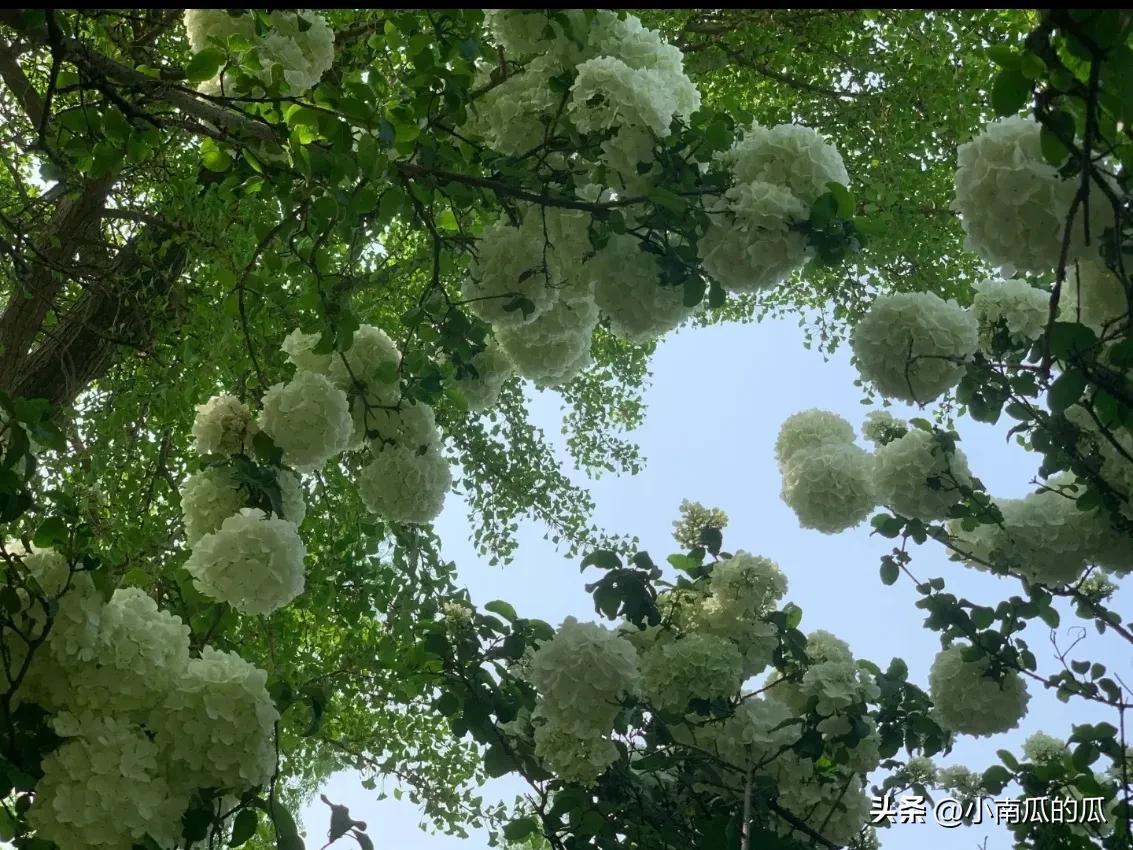 苏州休闲娱乐的景点,苏州娱乐游玩项目