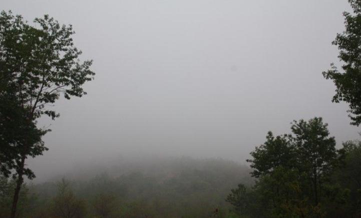 凝聚与分离：《歇马山庄》中的女性羁绊，与对农村生活困境的剖析