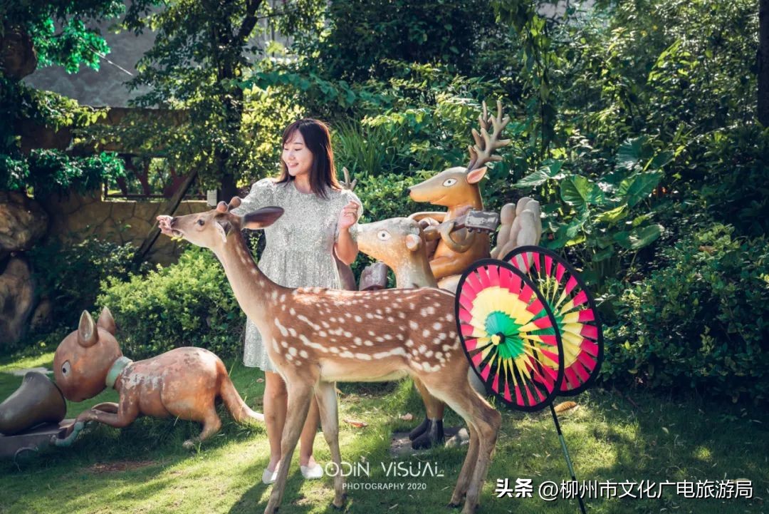 在柳州趣玩一“夏”！5大项暑期文化旅游主题活动来袭，持续2个月~