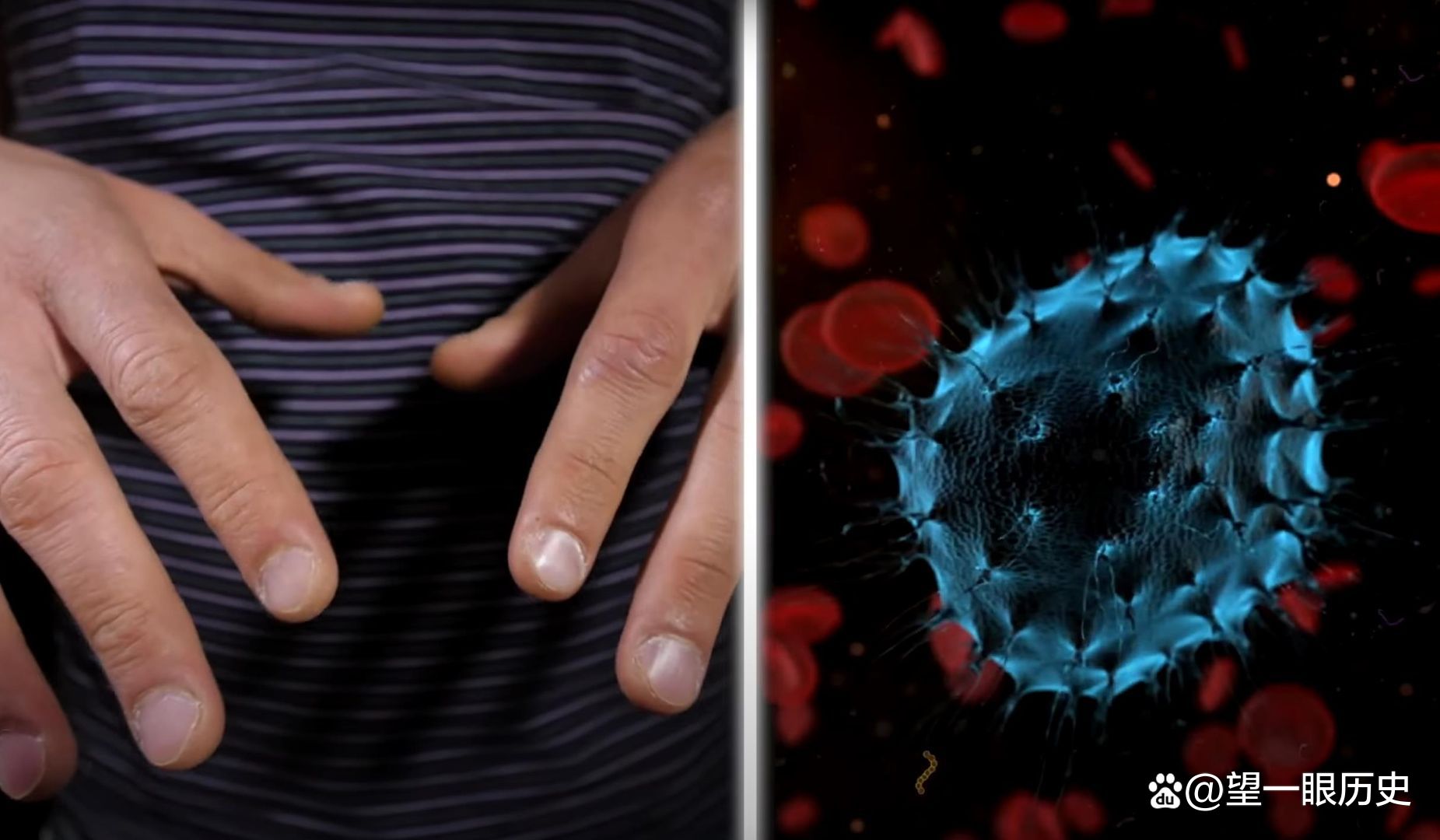 世界上最昂贵的液体，每升的血液值多少钱？告诉你答案