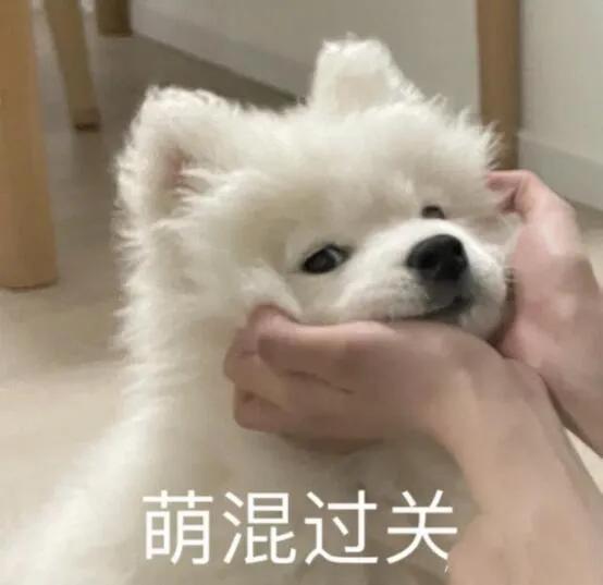 mba联考英语怎么备考,mba联考写作技巧