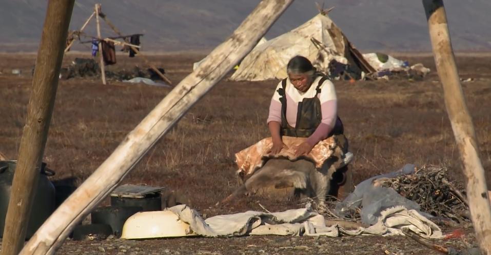 俄罗斯牧民有多少钱,俄罗斯鄂温克人饲养驯鹿