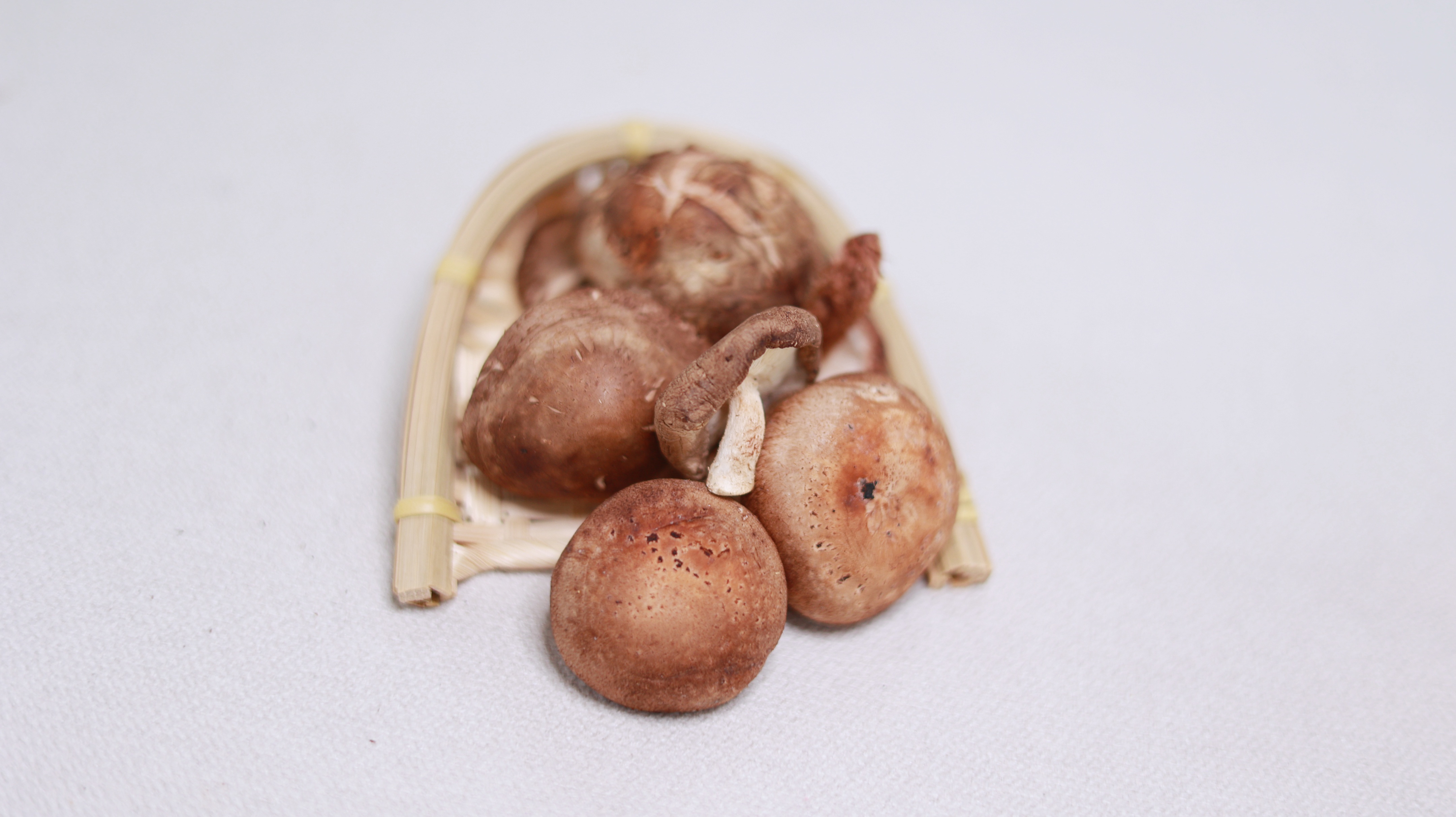 治疗痛风的食谱有哪些,哪些食物对治疗痛风有帮助