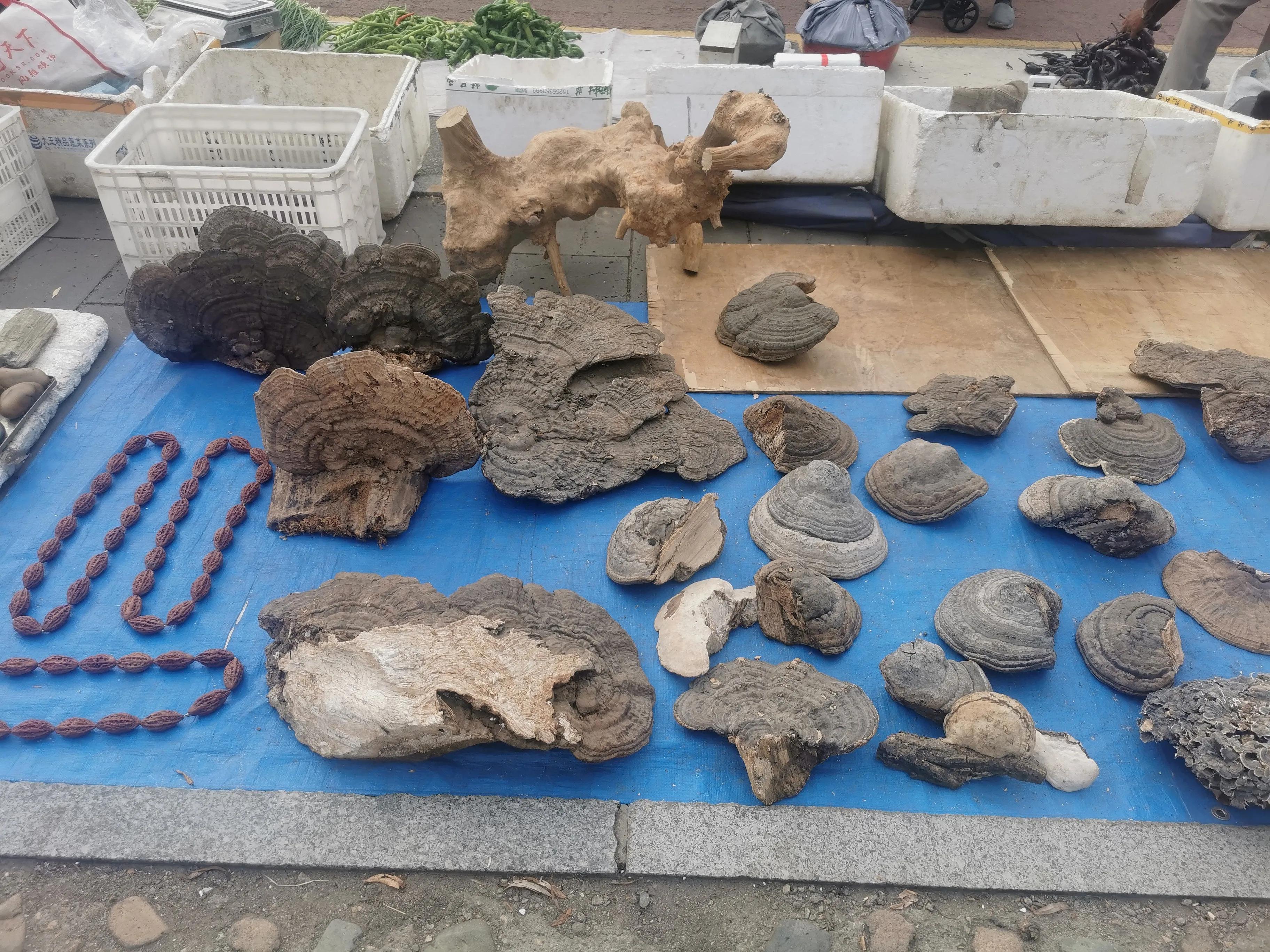 中国申请高句丽世界文化遗产遗址,高句丽历史文化遗址