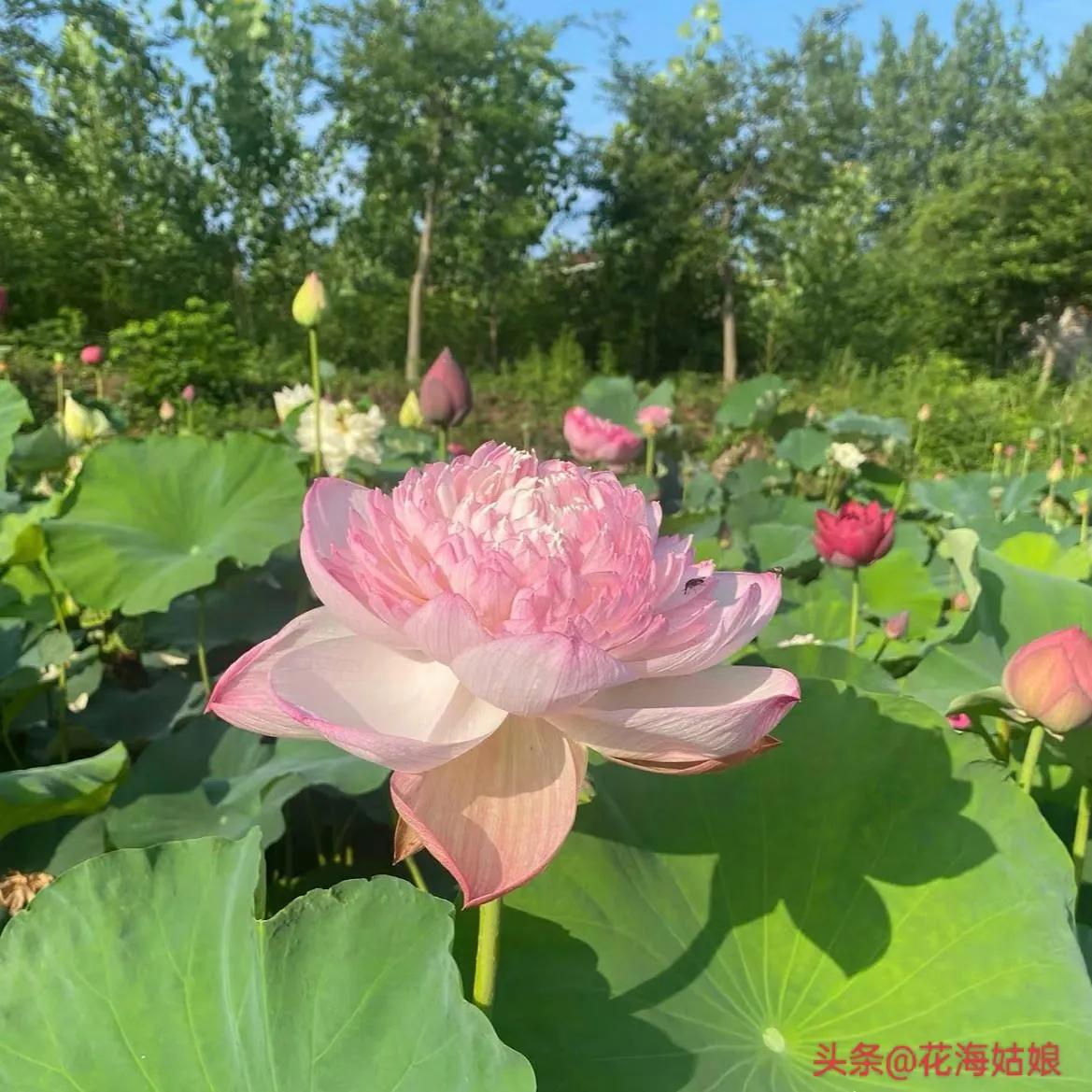 感觉自己好累好累的句子,感觉自己每天都好累好累