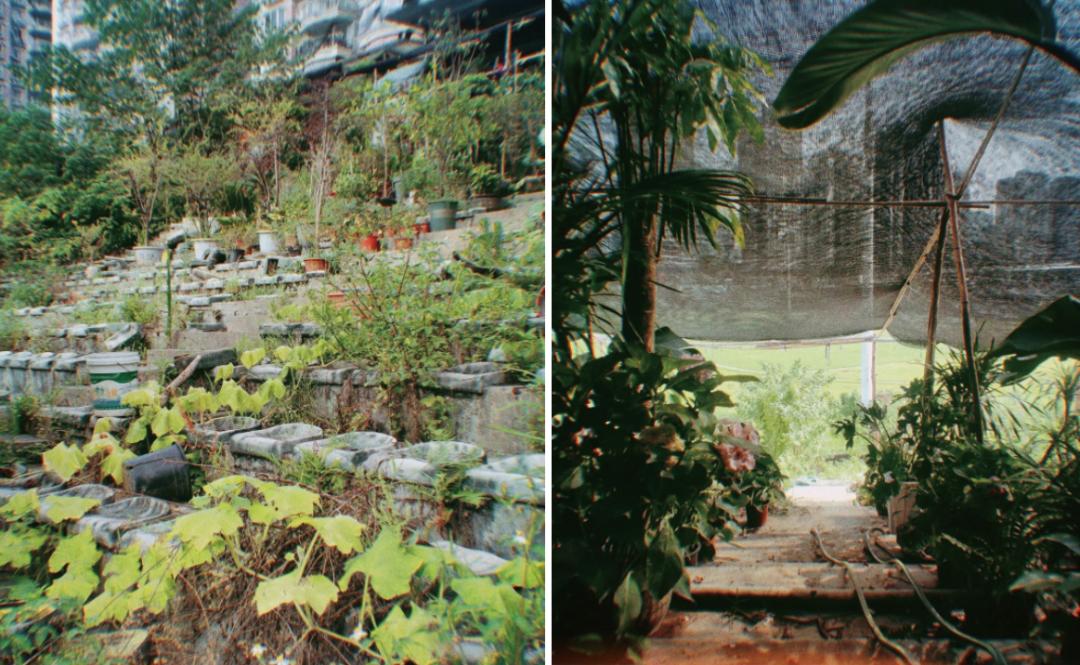 世界杯结束卡塔尔基建怎么办,世界杯结束了卡塔尔怎么办