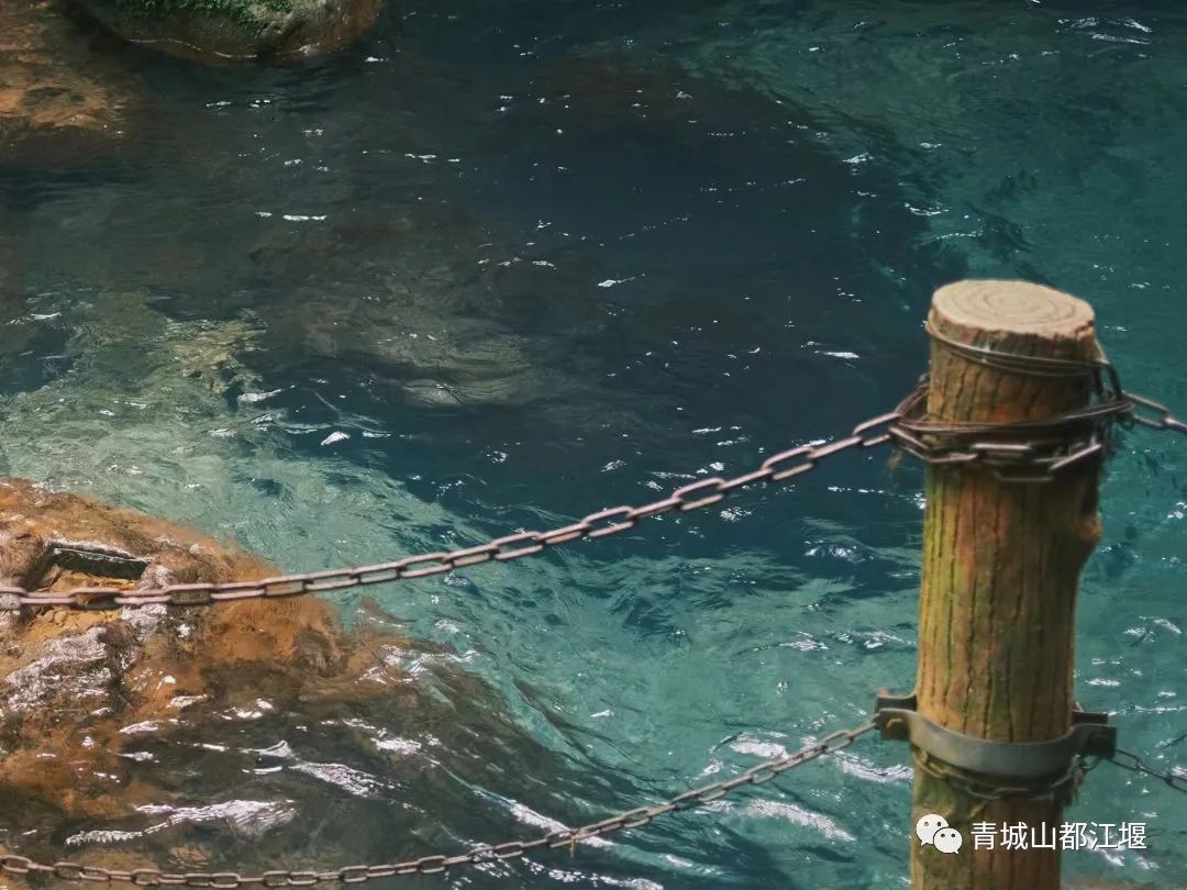 青城山森林秘境,青城山风光好去处