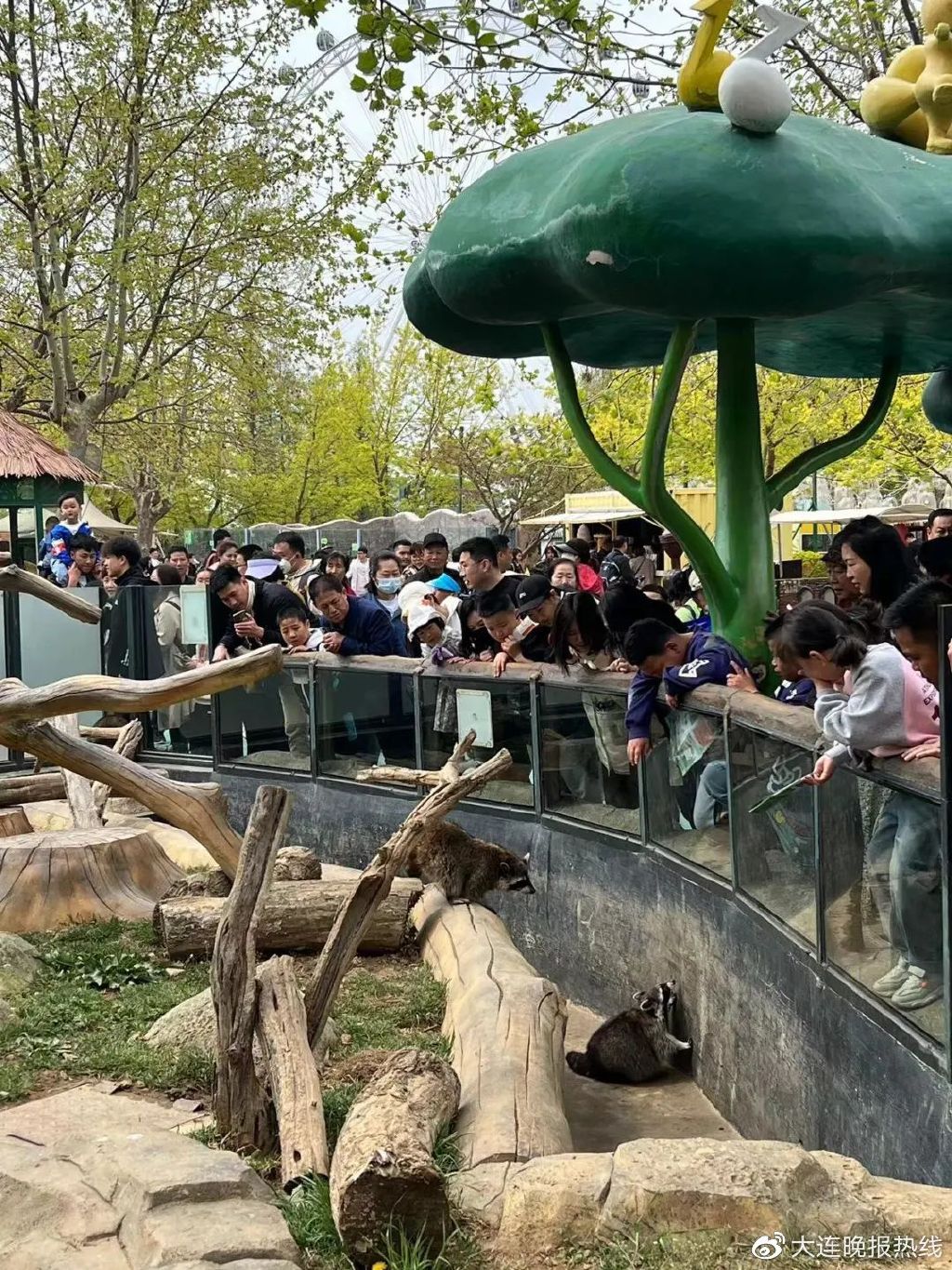 房子涨7倍,信用卡本金还了利息超本金7倍