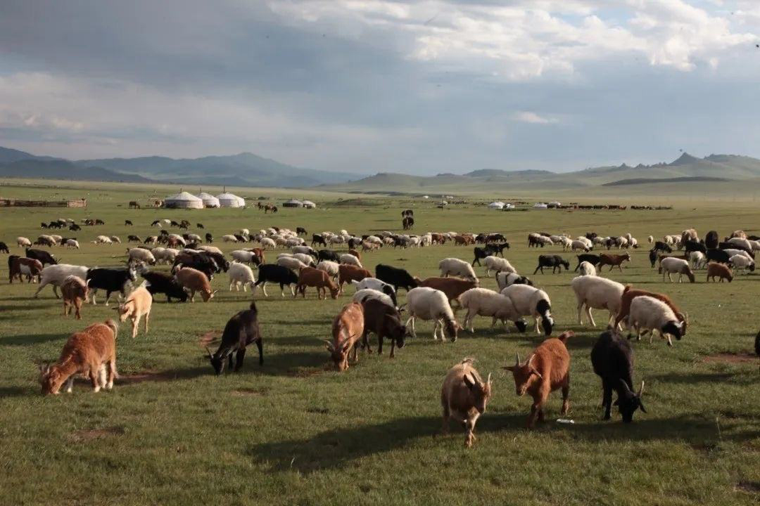 蒙古国现状实拍视频,蒙古国真实的状况