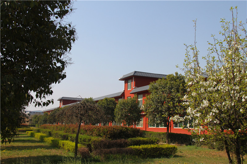 复读应该在应届班还是往届班,复读班是上应届重点班还是复读班