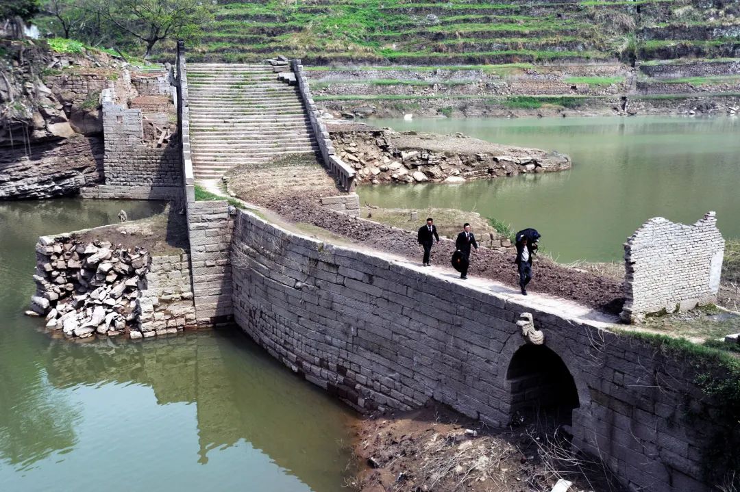 人物丨南溪十年，年年“春来”