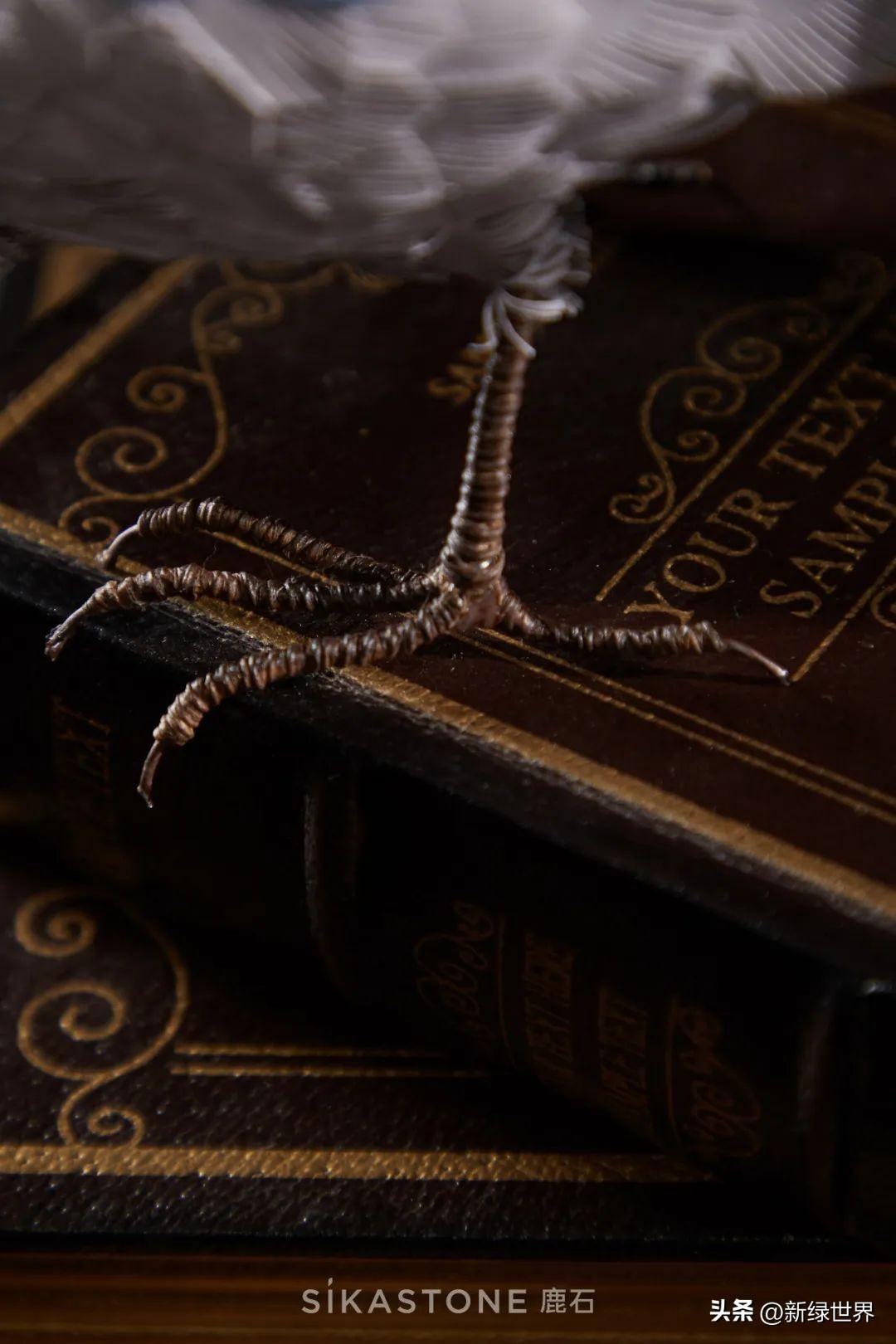 一组纸艺作品,令人惊艳的纸艺作品